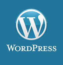 Wordpress Expert 