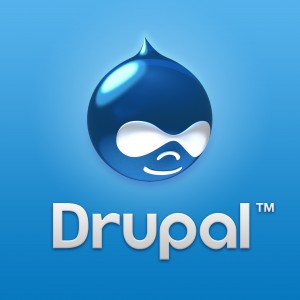 Drupal Experts